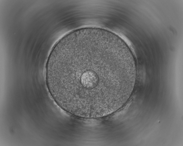 X0000111460807200908241318