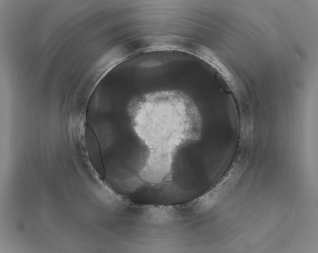 X0000111460809200908241318