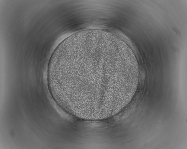 X0000111460811200908241318