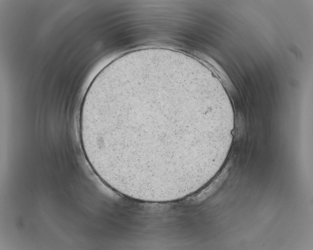 X0000111460812200908241318