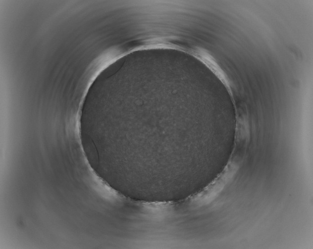 X0000111460813200908241318