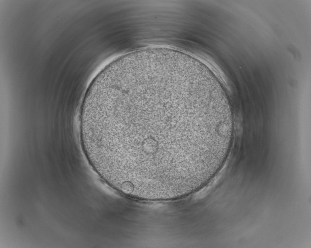 X0000111460814200908241318