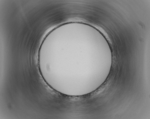 X0000111460815200908241318