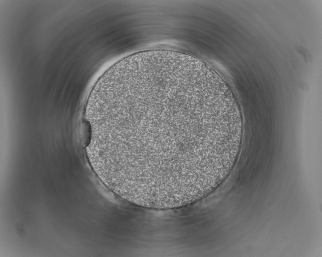 X0000111460816200908241318