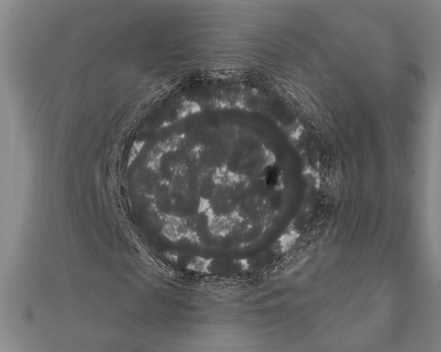 X0000111460817200908241317