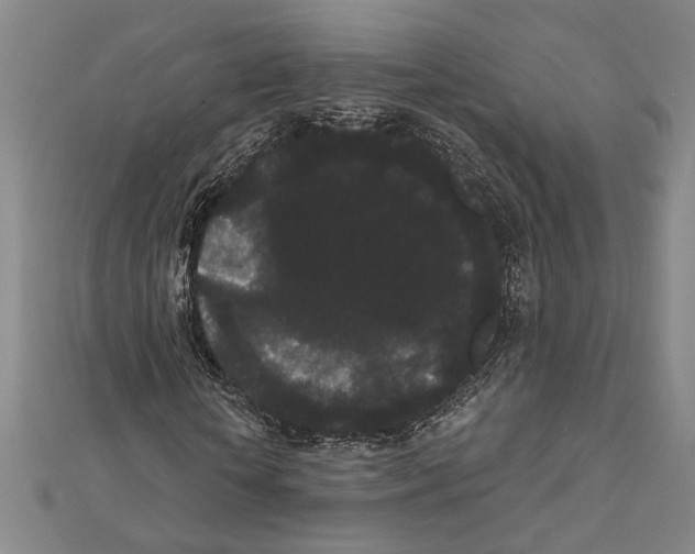 X0000111460818200908241317
