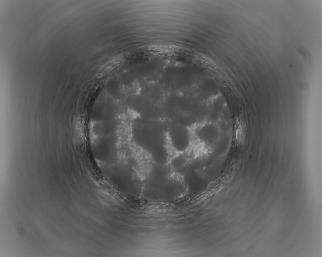 X0000111460819200908241317