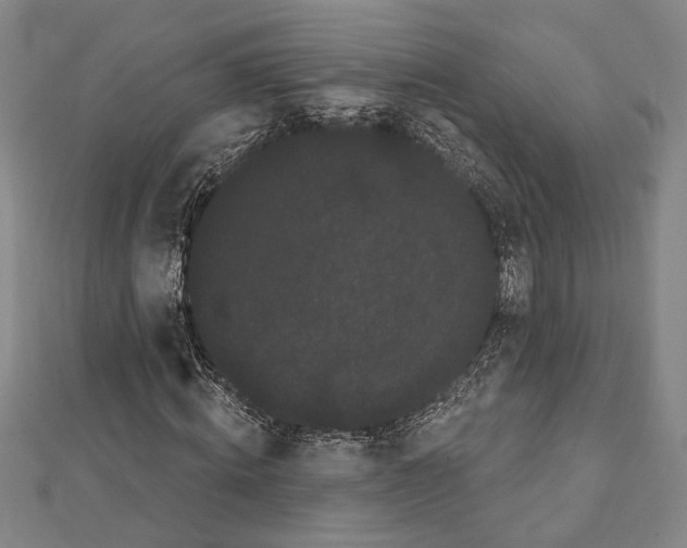 X0000111460820200908241317