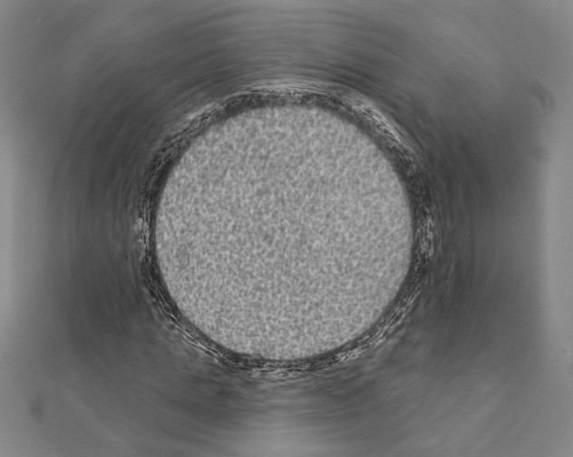 X0000111460821200908241317