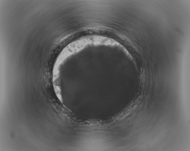 X0000111460822200908241317