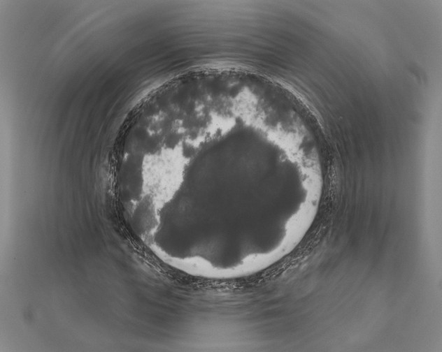 X0000111460823200908241317