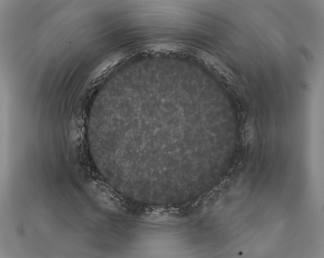 X0000111460824200908241317