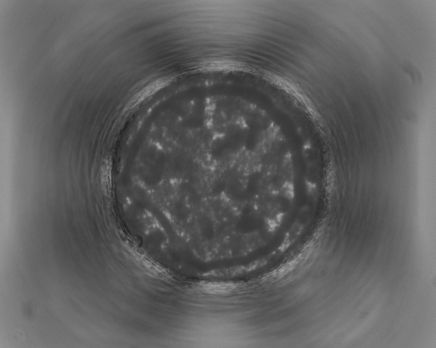 X0000111460825200908241317
