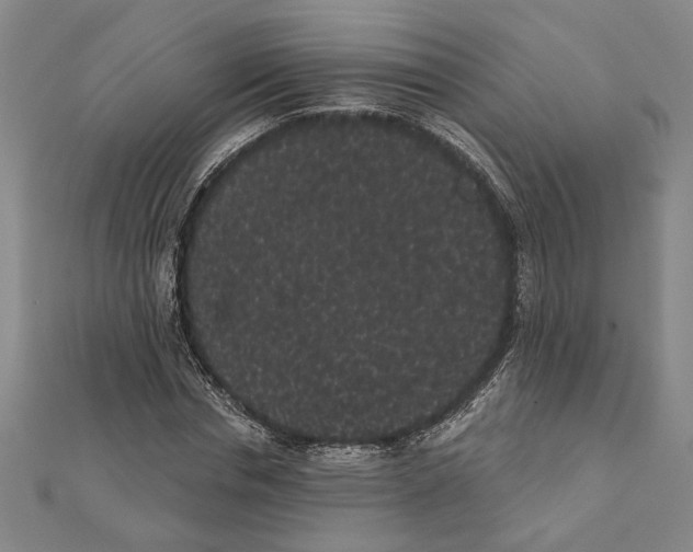 X0000111460826200908241317
