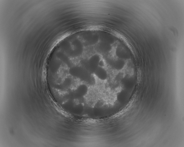 X0000111460827200908241317