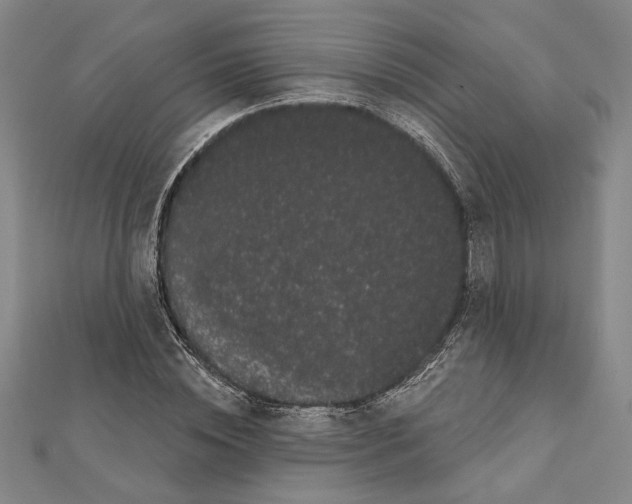 X0000111460828200908241317