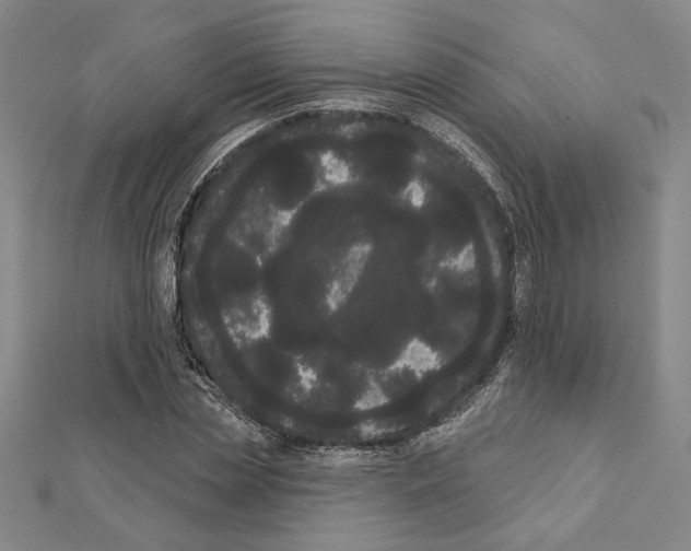 X0000111460829200908241318