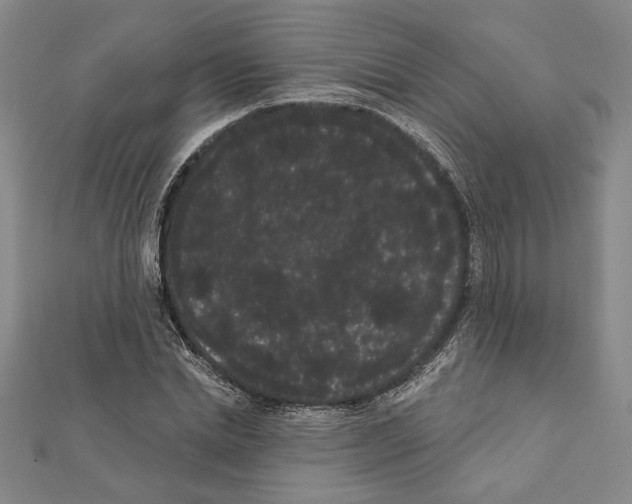 X0000111460830200908241318