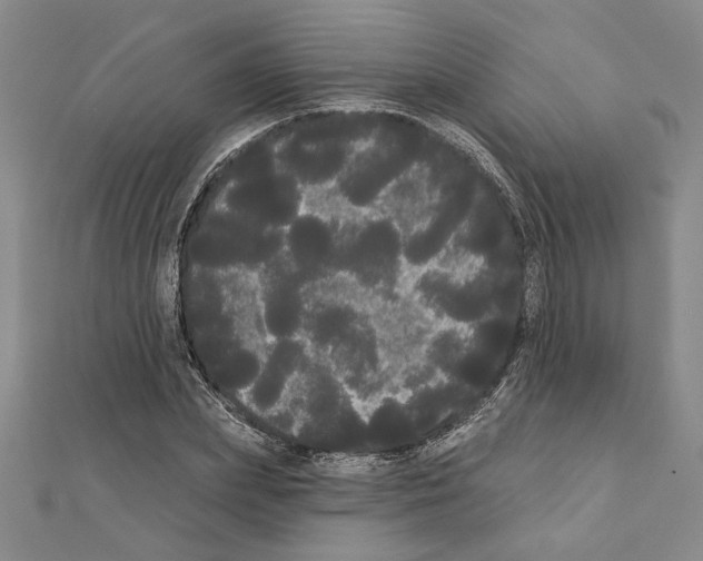 X0000111460831200908241318