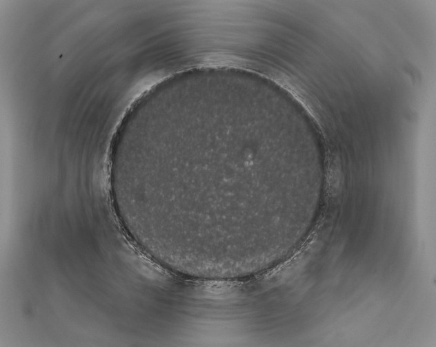 X0000111460832200908241318