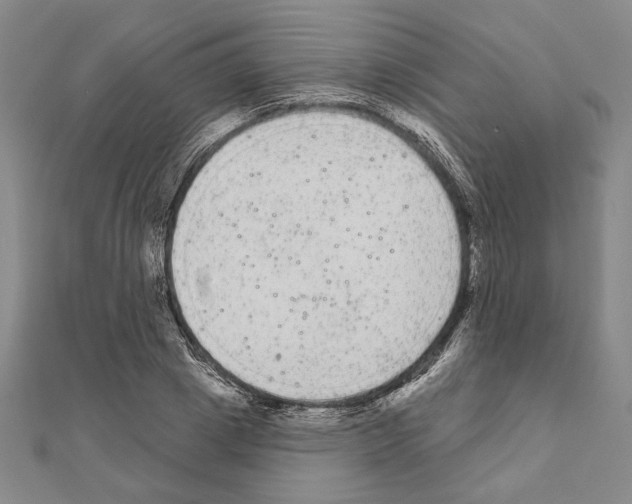 X0000111460833200908241318