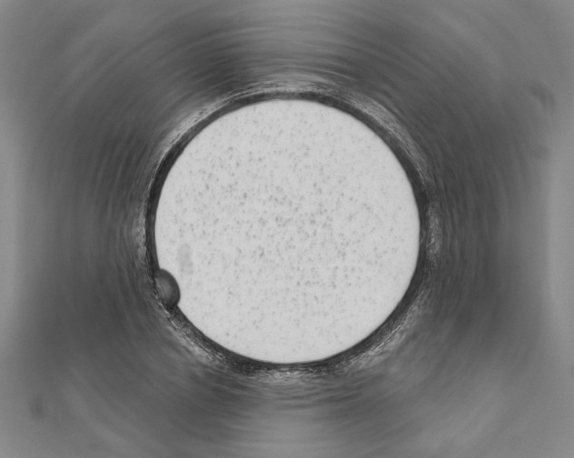 X0000111460834200908241318