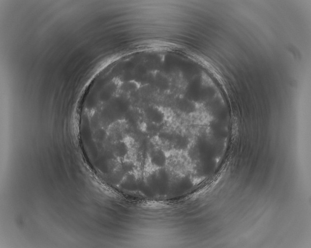 X0000111460835200908241318
