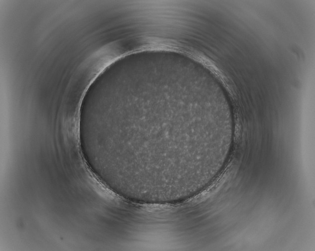 X0000111460836200908241318