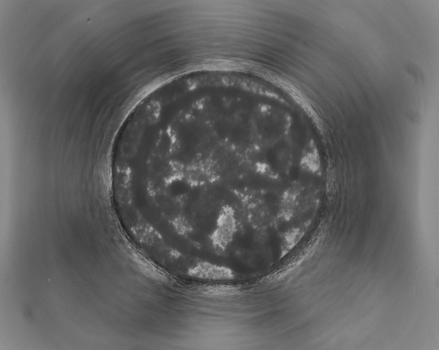X0000111460837200908241318