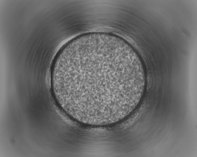 X0000111460838200908241318