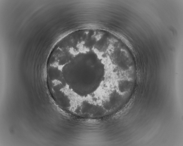 X0000111460839200908241318