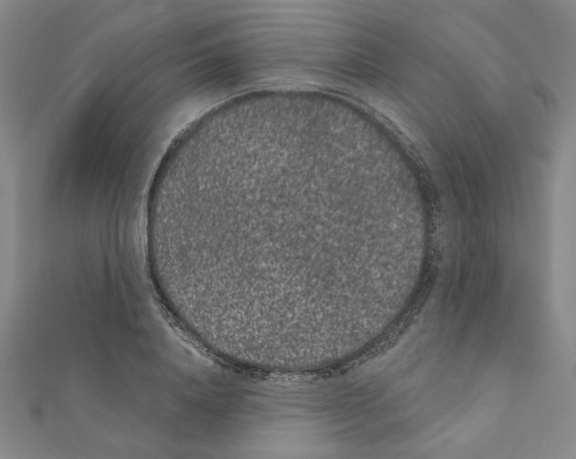 X0000111460840200908241318