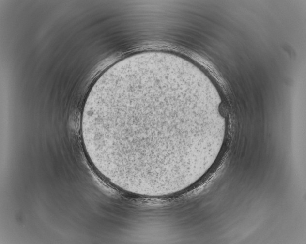 X0000111460841200908241318