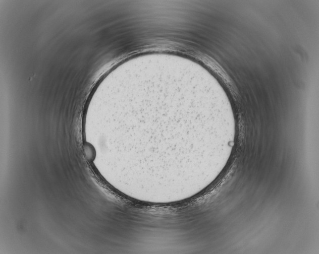 X0000111460842200908241318