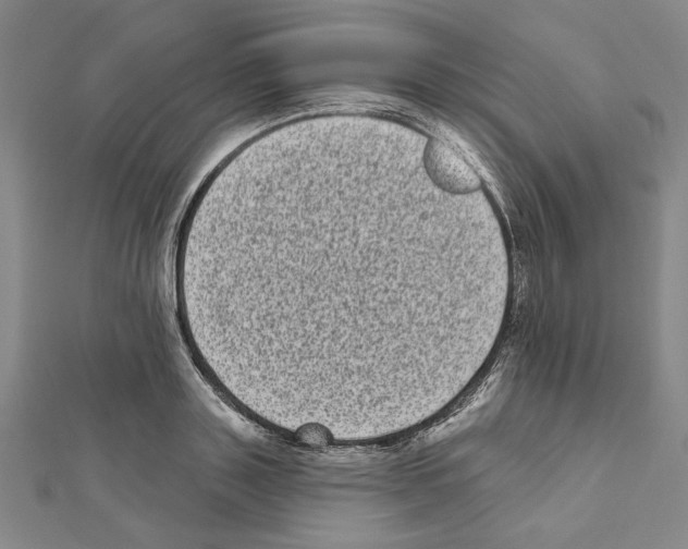 X0000111460843200908241318