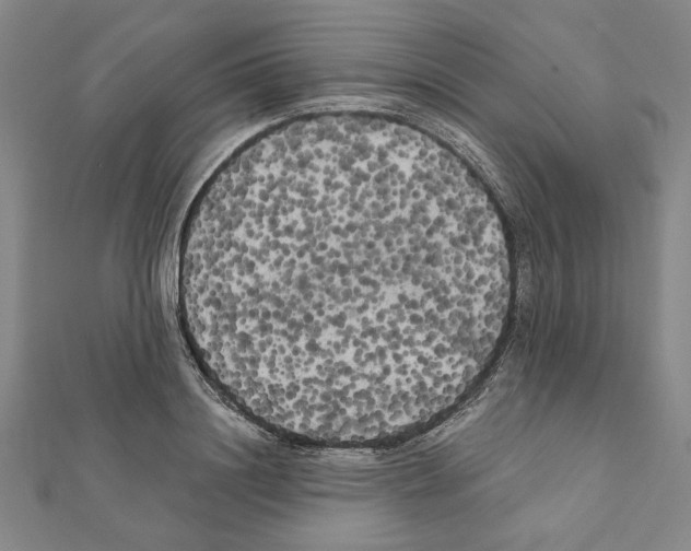X0000111460844200908241318