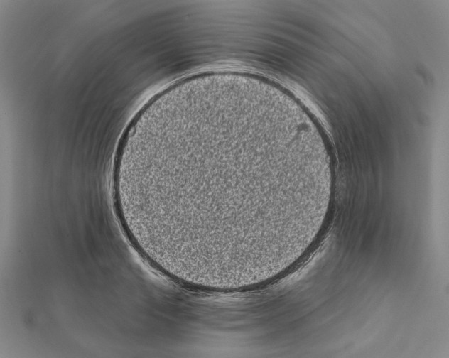 X0000111460845200908241318