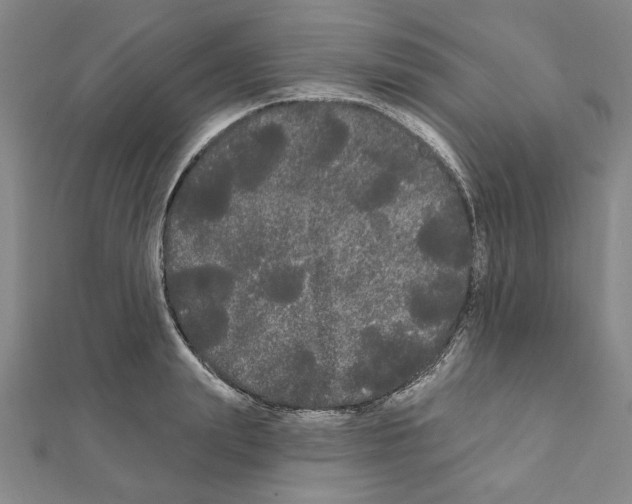 X0000111460847200908241318