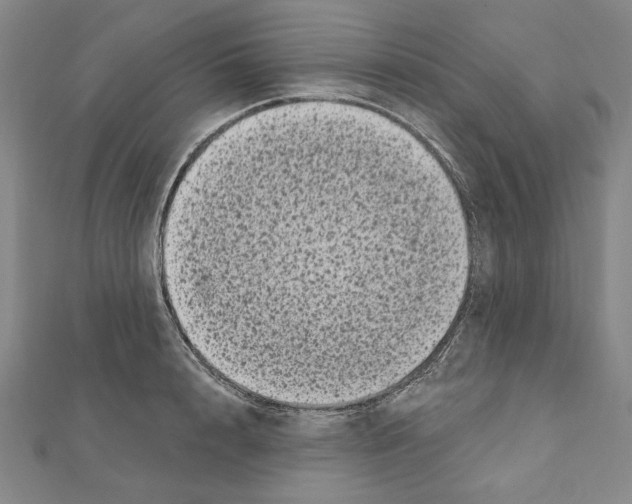 X0000111460848200908241318