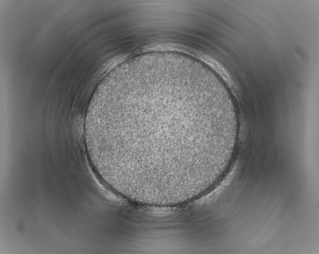 X0000111460849200908241318