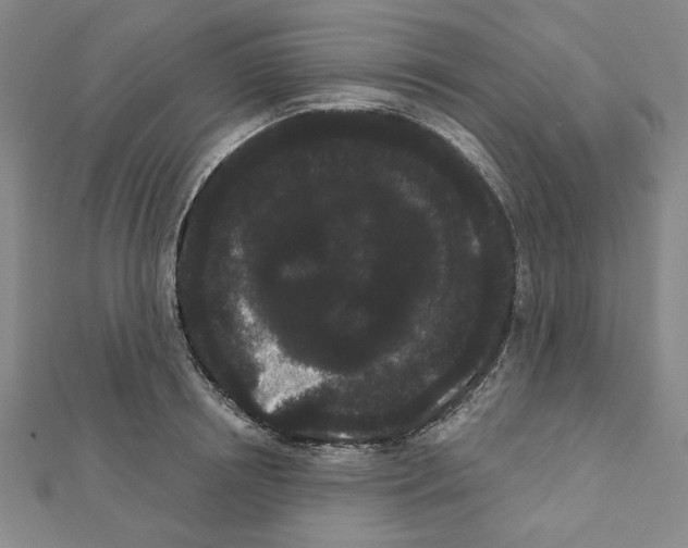 X0000111460850200908241318