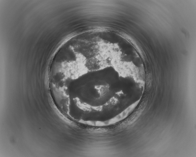 X0000111460851200908241318