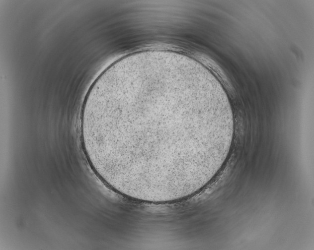 X0000111460852200908241318