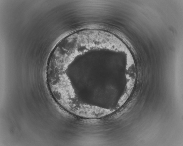 X0000111460853200908241318
