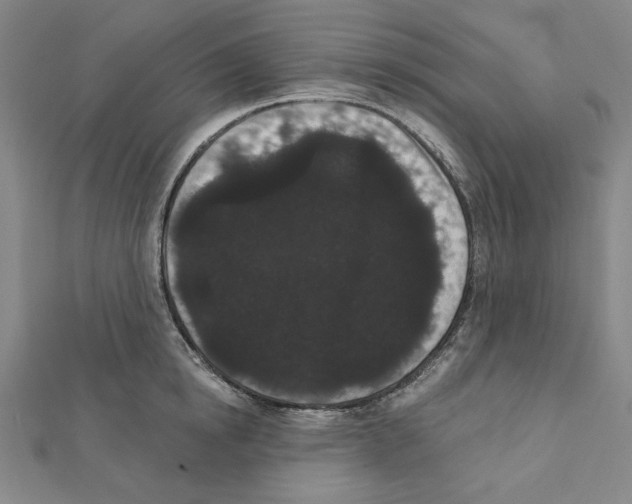 X0000111460854200908241318