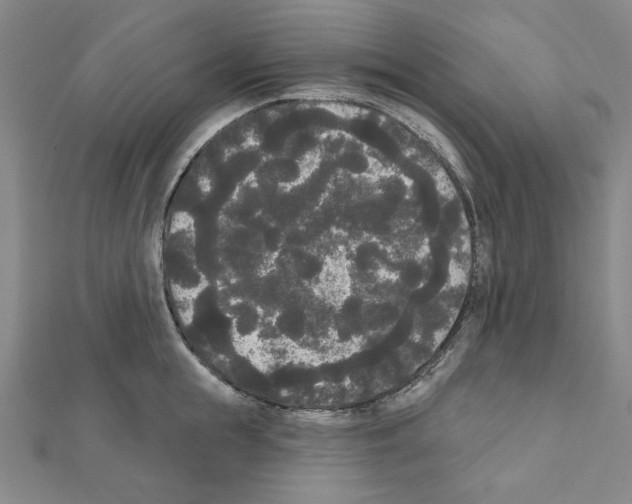 X0000111460855200908241318