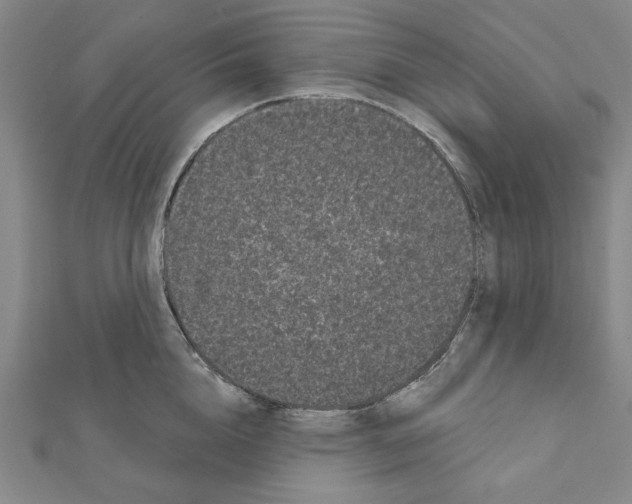 X0000111460856200908241318