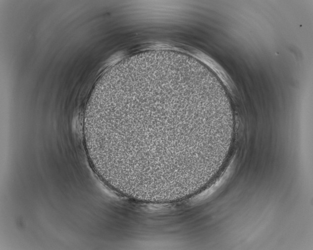 X0000111460857200908241318