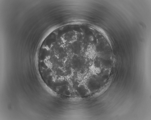 X0000111460859200908241318