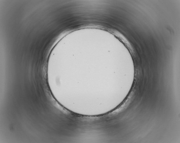 X0000111460860200908241318